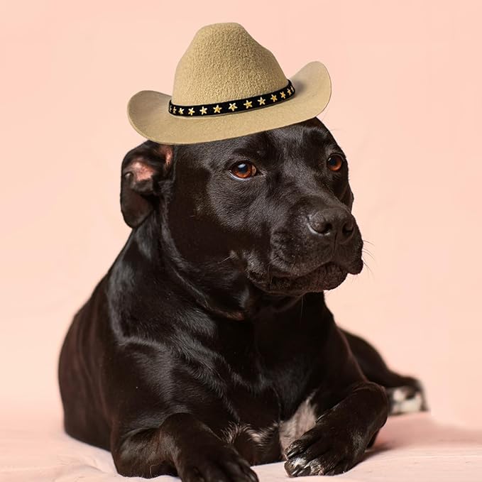 Dog Cowboy Hat Cat Cowboy Hat Mini Cowboy Hat for Dogs Cat Pet Cowboy Costume with Bandana Scarf Holiday Halloween Pet Party Decoration (Khaki, Large)