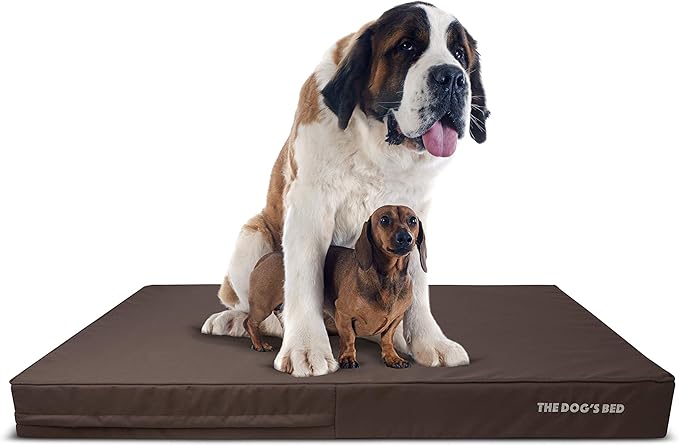 The Dog’s Bed Orthopedic Memory Foam Dog Bed for XXXL Dogs, Waterproof Washable Cover, Anti-Slip Base, Calming Surface – CertiPUR-Certified Foam, Brown with Brown Trim, 6 Inch Thick