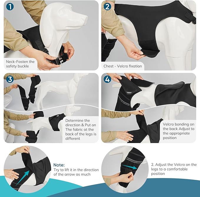 Adjustable Dog Knee Brace for ACL Tear and Arthritis Recovery - Dual Hind Leg Support with Harness Connection - Orthopedic Leg Wrap for Joint Stability and Pain Relief in Small to Large Dog ( (XXL)