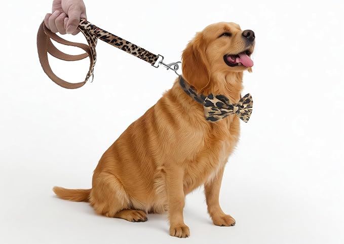 YOY Soft Comfortable Adjustable Leopard Print Pet Collar with Bowtie, Heavy Duty Dog Collar and Leash Set for Small Medium Large Dogs Cats, Puppy Grooming Doggy Accessories, Length 14" - 20"