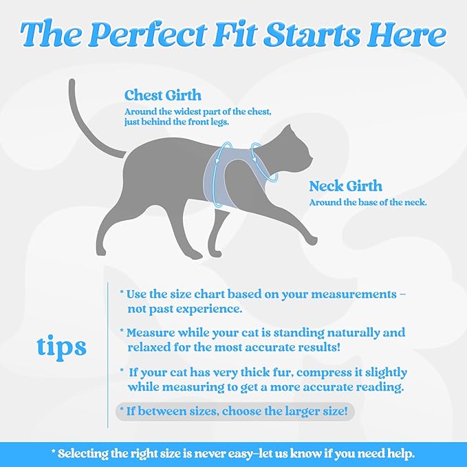 rabbitgoo Cat Harness and Leash Set for Walking Escape Proof, Adjustable Soft Kittens Vest with Reflective Strip for Cats, Comfortable Outdoor Vest, Black & Light Blue, M