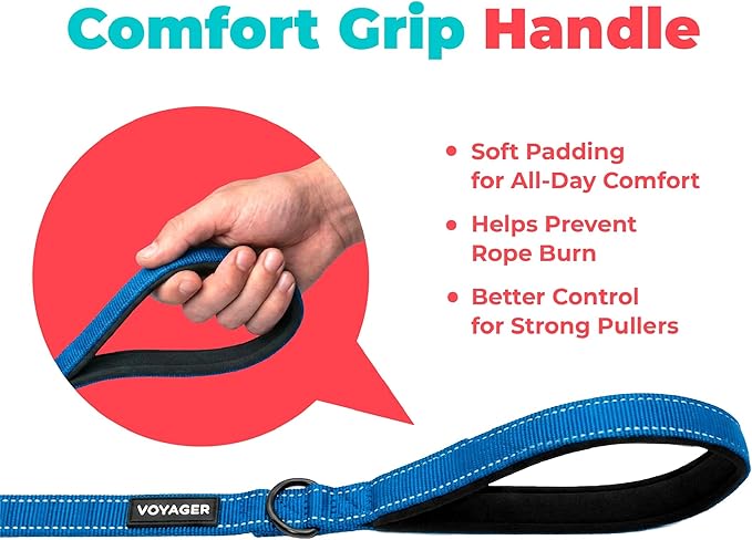 Best Pet Supplies Voyager Reflective Dog Leash or Collar with Neoprene Handle, for Small, Medium, and Large Breed Puppies, Cute and Heavy Duty for Walking, Running and Training - Royal Blue (Leash), L