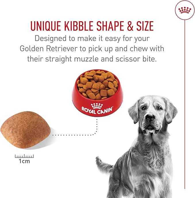 Royal Canin Breed Health Nutrition Golden Retriever Adult Dry Dog Food, 17 lb Bag