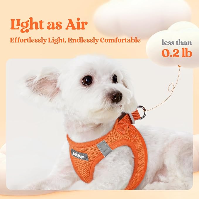 rabbitgoo Dog Harness Small Sized and Leash Set, Step in Soft Light Puppy Vest, Breathable Mesh Pet Harness, Reflective for Safe Easy Walking, Orange S