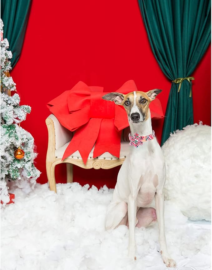 Unique style paws Cotton Dog Collar with Bow Christmas Puppy Collar with Red Green Plaid for Small Medium Large Boys Girls Dogs