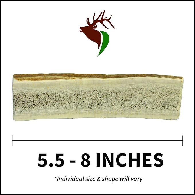 Medium Split Twin Pack (for 20-40 lb Dogs and Puppies) Premium Grade Elk Antlers for Dogs (2 Pieces) Sourced in The USA