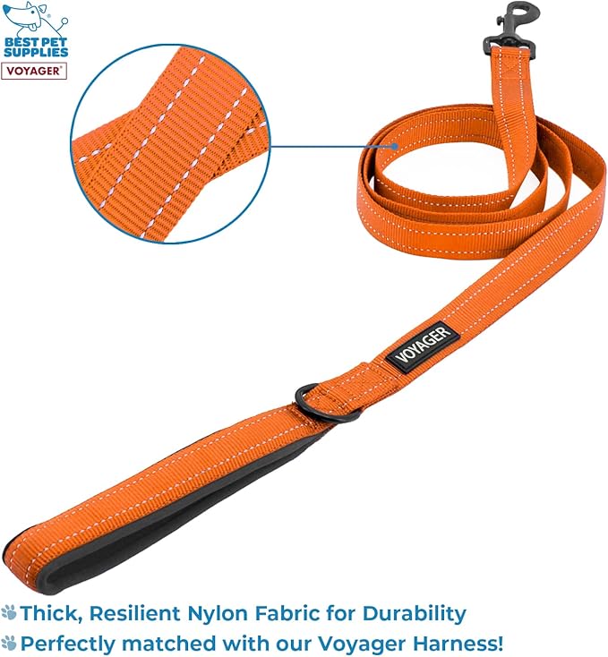 Best Pet Supplies Voyager Step-in Lock Pet Harness w Reflective Pet Leash Combo Set with Neoprene Handle 5ft - Supports Small, Medium and Large Breed Puppies/Cats - Orange/Black Trim, XXXS