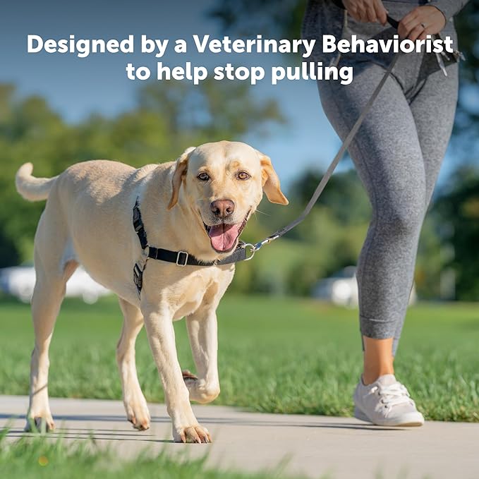 PetSafe Easy Walk Harness for Dogs - Pull-Free Walks - Patented Martingale Loop Design - Front Chest Leash Attachment - Comfort Straps - Breathable Harness Design - Medium, Red/Black