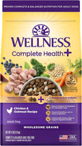 Wellness Complete Health+ Dry Dog Food Chicken & Oatmeal Recipe (4 Pound Bag)