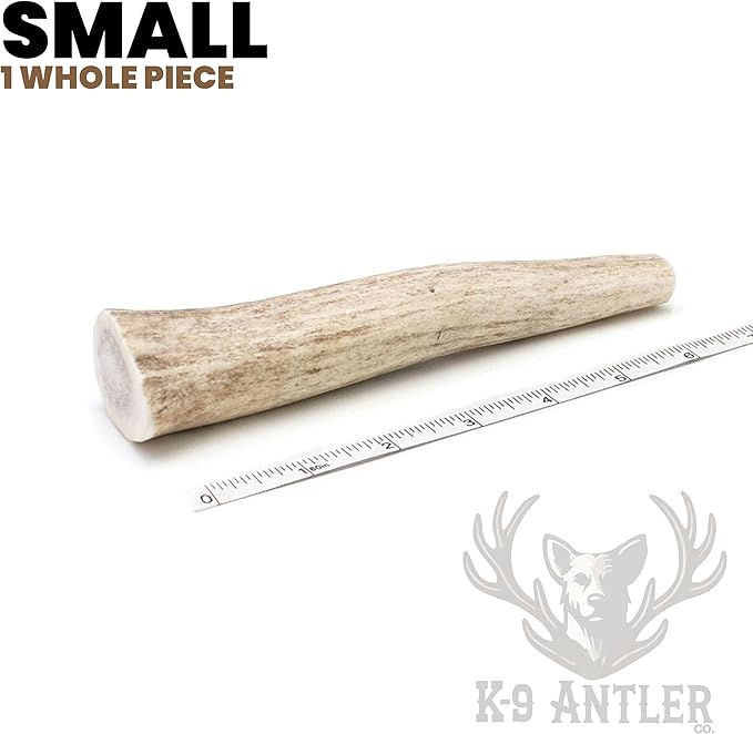 Deer Antlers for Dogs – Small Whole (4-6 Inch), Durable Chew for Aggressive Chewers, Naturally Shed in The Wild, Responsibly Gathered in The USA