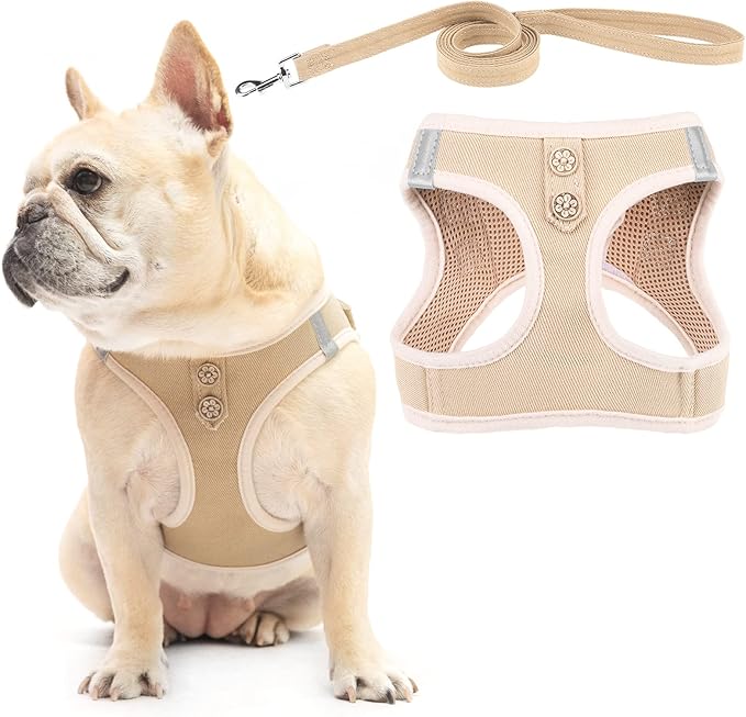 PUPTECK Dog Harness and Leash Set for Small Medium Dogs No Pull Step-in Soft Mesh Puppy Cat Vest Harnesses Reflective at Night, Denim Beige S