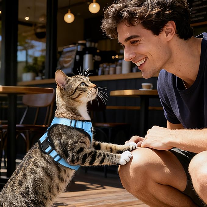 Dooradar Cat Harness and Leash Set, Escape Proof Safe Adjustable Kitten Vest Harnesses for Walking, Easy Control Soft Breathable Mesh Jacket with Reflective Strips for Cats, Light Blue, M