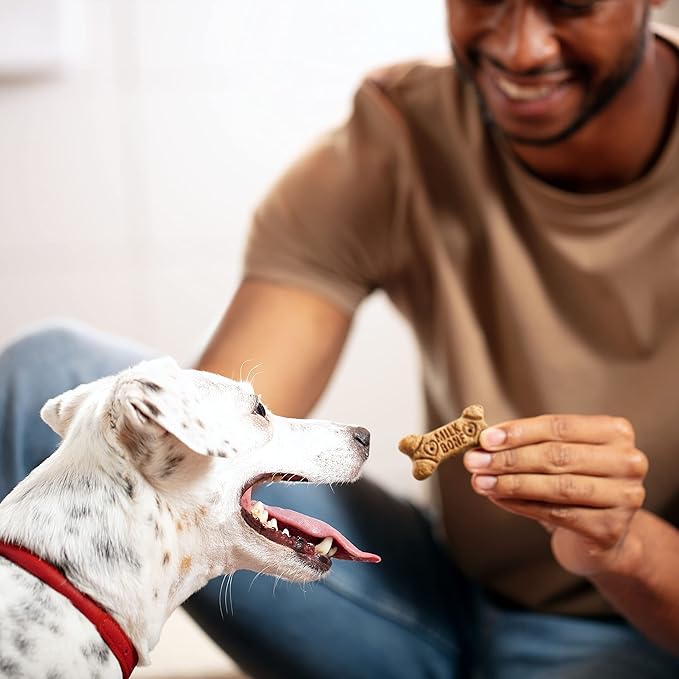 Milk-Bone Dog Treats Bundle: MaroSnacks Beef 40 Ounce + Flavor Snacks Small Biscuit 24 Ounce