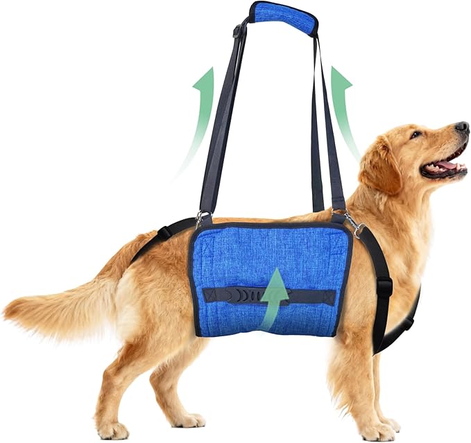 Adjustable Dog Lift Harness, Dog Carry Sling Provides Rear Leg Support for Arthritis and After ACL Surgery Dogs,Suitable for Medium to Large Dogs,XL