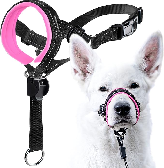 GoodBoy Dog Head Halter with Safety Strap - Stops Heavy Pulling On The Leash - Padded Headcollar for Small Medium and Large Dog Sizes - Head Collar Training Guide Included (Size 3, Pink)