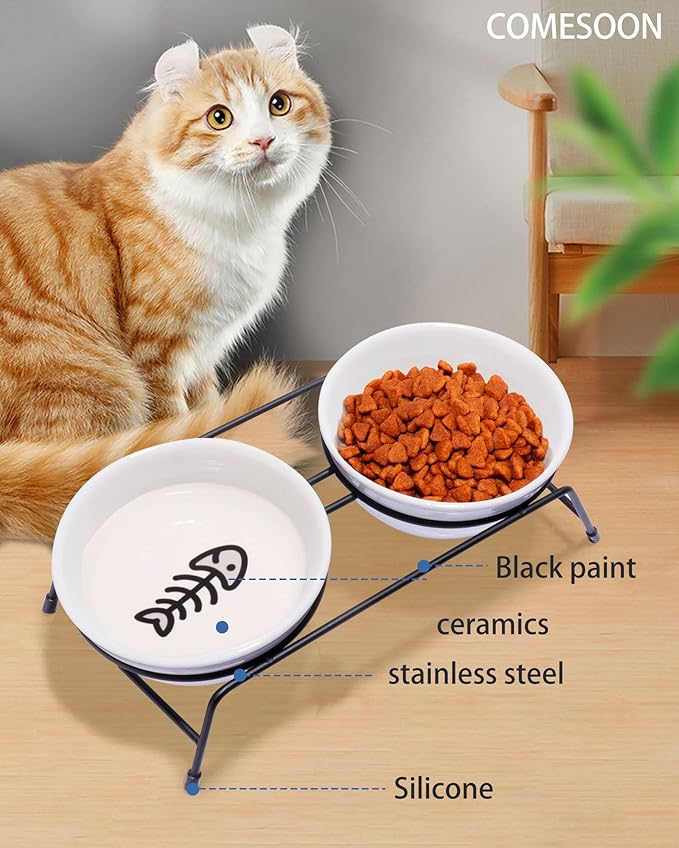 Anti-Vomiting Raised Cat Bowls - 2 × 13 oz Ceramic Cat Food & Water Bowls with Non-Slip Stainless Steel Stand, Dishwasher Safe for Indoor Cats
