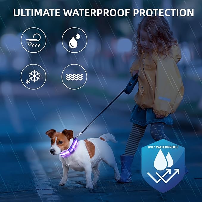 LED Dog Collar for XSmall Dogs & Toy Breeds – USB-C Rechargeable Light Up Dog Collar, Fully Waterproof Adjustable Glow Collar for Night Walking & Safety(Purple,XS)