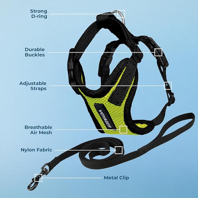 Voyager Escape-Proof Step-in Lock Cat Harness & 5ft Neoprene-Handle Leash Set All-Weather Mesh with Reflective Stitching for Small to Large Cats by Best Pet Supplies, Lime Green/Black Trim, XXXS