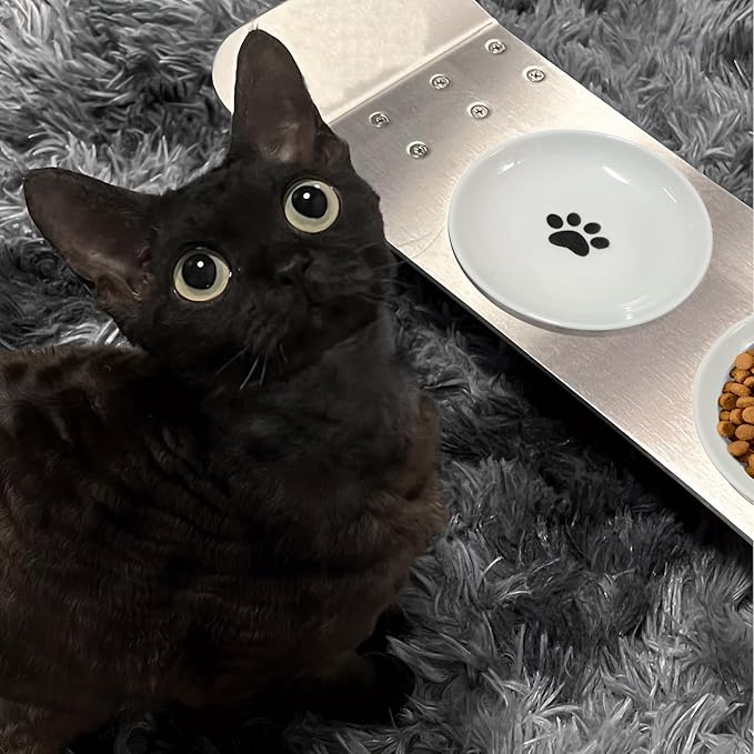 3-Pack Ceramic Cat Food Bowls, Wide Shallow Dish & Anti-Whisker Fatigue, Nonslip Silicone Base for Indoor Cats & Kittens, for Wet/Dry Food & Water
