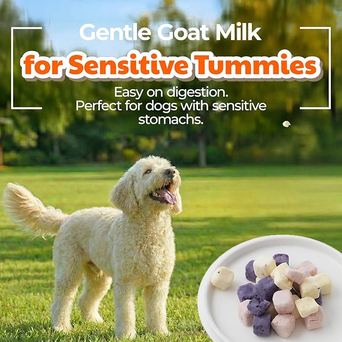 Freeze-Dried Goat Milk Dog Treats with Persimmon, Made in Korea, Natural Limited Ingredient Training Treats for Puppies & Adult Dogs, 1.76 oz (50g)