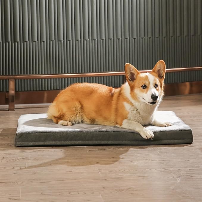 Amazon Basics Washable Dog Bed with Cooling Gel Memory Foam, Pressure-Relief Support for Dogs up to 120lbs, Non-Slip Bottom, Removable Cover, Giant Sized (50" x 34"), Grey