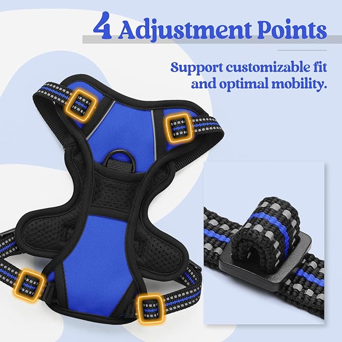 rabbitgoo Dog Harness No Pull with 2 Leash Clips, Adjustable Soft Padded, Reflective Oxford No Choke Pet Vest with Easy Control Handle for Puppy, Dazzling Blue,XS