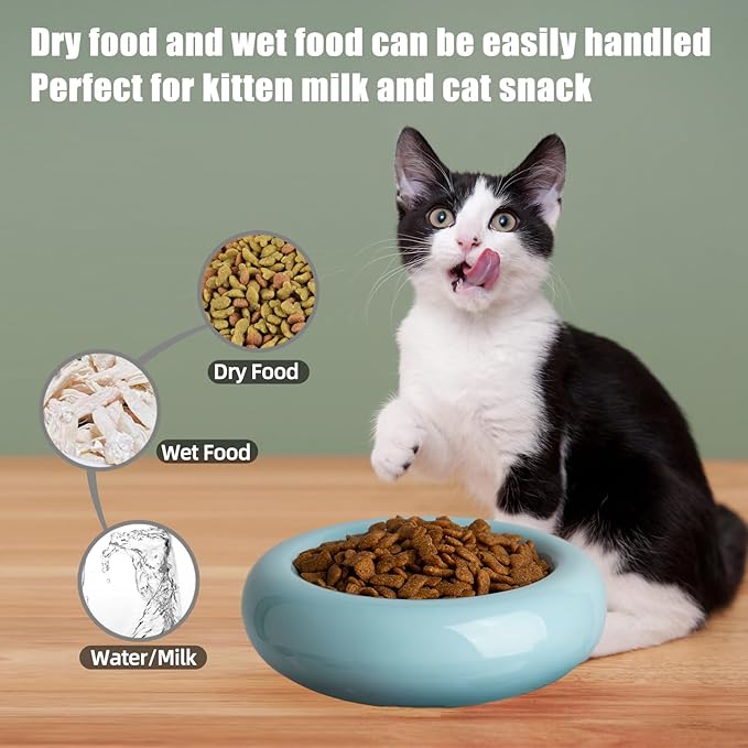 6.1 Inch Cat Bowls, 7 oz Ceramic Cat Food Bowl, Whisker Fatigue Relief Bowl, Anti-Vomiting, Protect Spine, Perfect for Indoor Cats(2pc Blue)