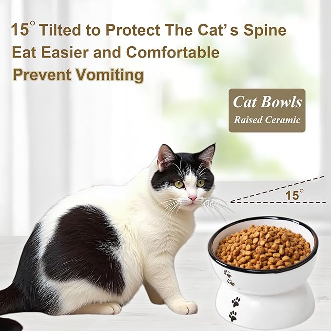 Anti-Rollover Elevated Ceramic Cat Bowls Holding Food and Water with A Cute Puppy Sideways Pattern, Black Border, Suitable for Small Dogs and Pets