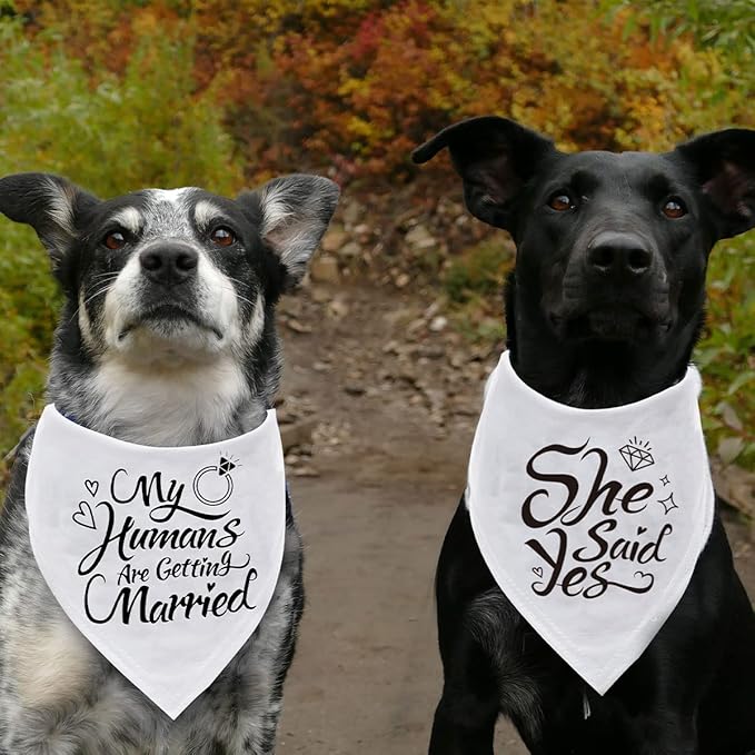 Engagement Gift, My Humans are Getting Married Dog Bandana, Wedding Photo Prop, Pet Scarf, Dog Engagement Announcement, Pet Accessories (White)