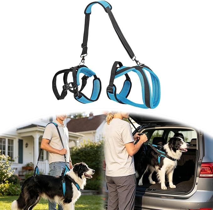 Mobility Harness, Dog Full Body Harness, 2-in-1 Full Body Support Aid & Sling with Adjustable Straps, Breathable Mesh Machine Washable for Senior Disabled Dogs (Blue-S)