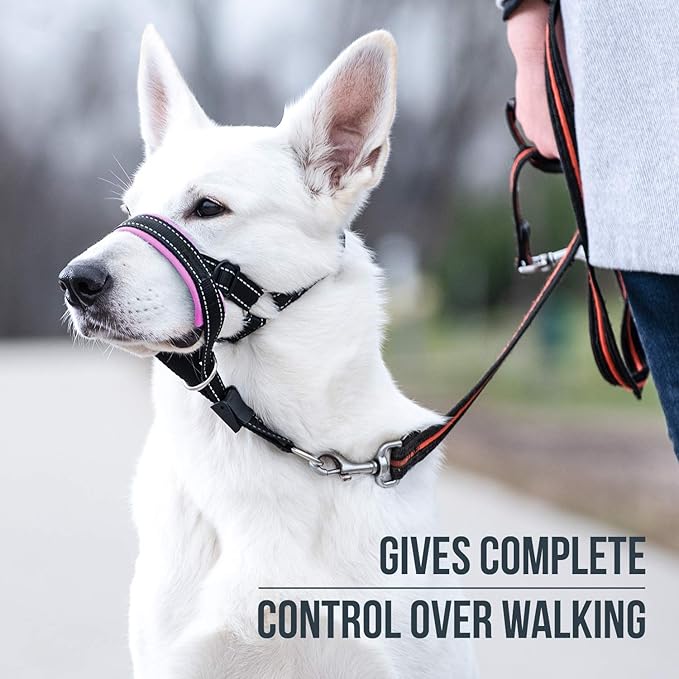 GoodBoy Dog Head Halter with Safety Strap - Stops Heavy Pulling On The Leash - Padded Headcollar for Small Medium and Large Dog Sizes - Head Collar Training Guide Included (Size 3, Pink)
