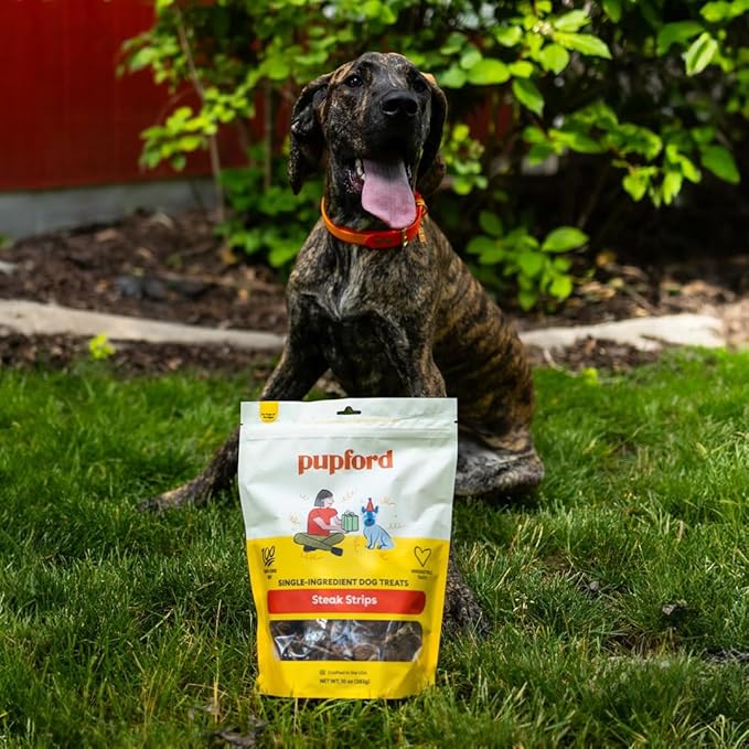 Pupford Steak Strips for Dogs & Puppies - Healthy, Natural, Single Ingredient Freeze Dried Beef Lung Dog Treats - Made in USA (10 oz)