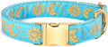 waaag Pet, Moons Stars Suns Dog Collar Cat Collar, Multiple Designs Crescent Celestial Dog Cat Collar Leash Harness Small (Pack of 1)
