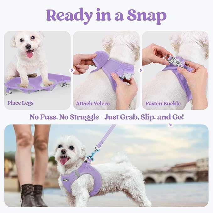 rabbitgoo Dog Harness Small Medium Sized and Leash Set, Step in Soft Light Puppy Vest, Breathable Mesh Pet Harness, Reflective for Safe Easy Walking, Light Purple L