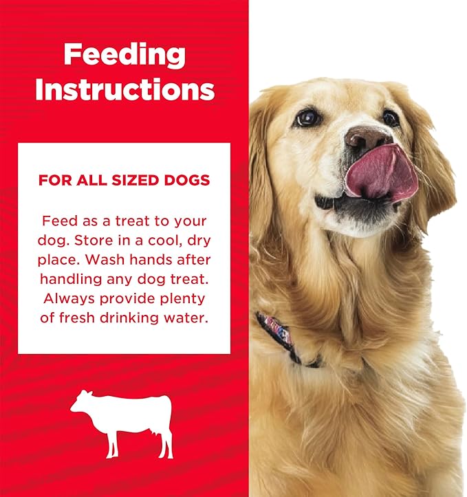 Country Kitchen Beef Soft Chew Dog Treats, Great Tasting, Made with Real Beef, Rich in DHA & Omega 3, 16 oz