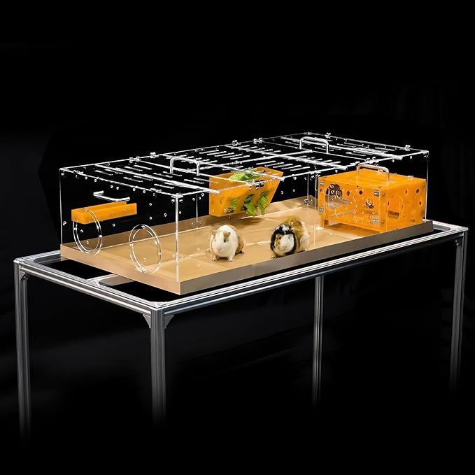 GuineaLoft™ Model-A1 Acrylic Cage with Crystal Clear Rooftop (48"x24"x12") - Protective Small Animal Habitat for Guinea Pigs, Rabbits & Hedgehogs - Includes Disposable Bottoms