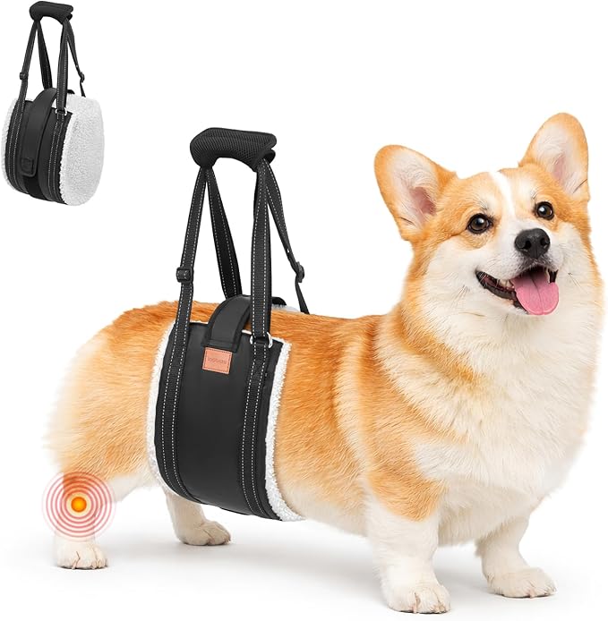 LOOBANI Dog Lift Harness for Back Legs, Portable Dog Sling for Large Dogs Hind Leg Support, Comfortable Leg Support Assistance for Elderly Dogs with Hip, ACL Brace, Senior, Injured