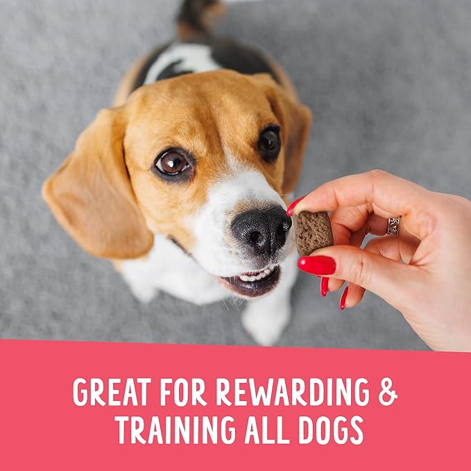 Health Extension Crunchy Munchies Granola Bites Appley Crisp Flavor, Natural Limited Ingredient Dog Treats with Rolled Oats & Coconut Oil, Made in The USA (5oz Bag)