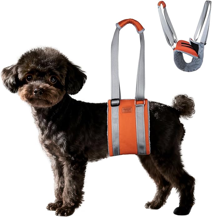 Dog Sling for Back Legs Dog Lift Harness Magic Tape Hip Support Harness Rehab to Help Senior,Injured,Arthritis,Hip Dysplasia,Weak Rear Leg,Disabled,After ACL/CCL Surgery,TPLO Dogs (Brown, S)