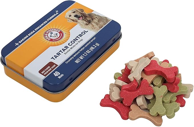 Arm & Hammer for Pets Tartar Control Dental Mints for Dogs | Dog Dental Mints Help Reduce Plaque & Tartar Buildup Without Brushing | Beef Flavor, 40 Count