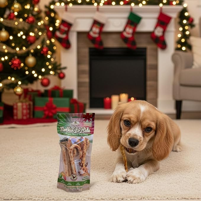Fieldcrest Farms Nothin' to Hide Mini Holiday Candy Cane Chicken Flavor Dog Chews, Rawhide-Free, Easily Digestible, Long-Lasting, All-Natural Treats for Moderate Chewers up to 15lbs, 6-Ct