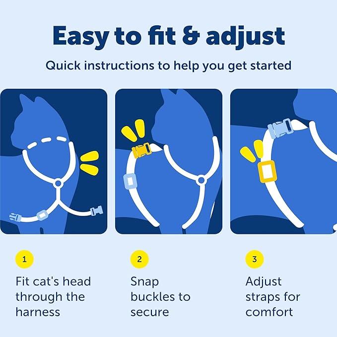 PetSafe Come With Me Kitty Cat Harness & Bungee Leash - Comfortable Cat Harness with Lightweight Bungee Leash for Outdoor Fun - More Secure Walks - Medium - Royal Blue
