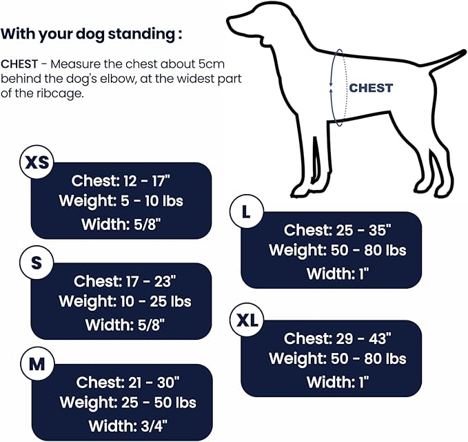 Non-Restrictive No-Pull Dog Harness, Neck Buckle Desgin, Easy Walk Freedom Harness Keep Balance, Six Points Adjustment, for Medium Dog Chest(21-30 inches), Blue/Black