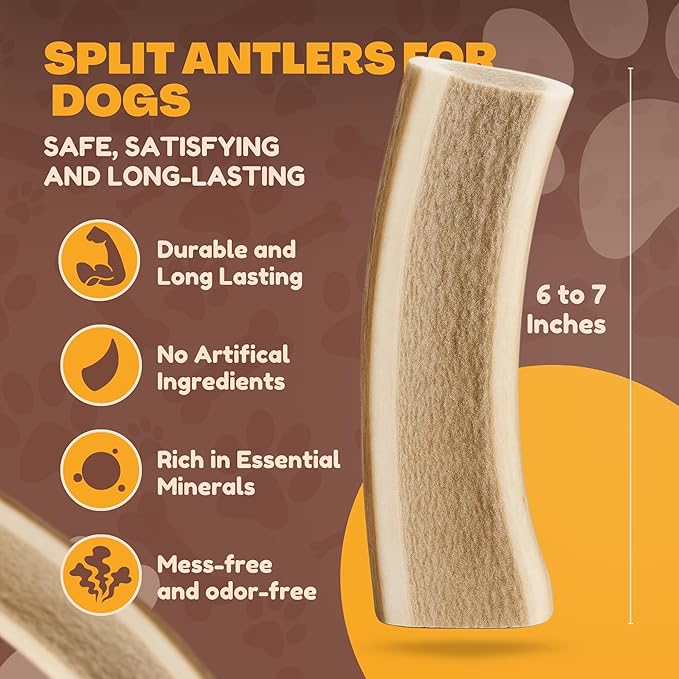 Whitetail Naturals Split Elk Antlers for Dogs (1 lb Bulk Pack) Premium Antler Chews for Medium to Large Dogs – Grade A, Wild Sourced & Naturally Shed (Approx. 4-5 Count)