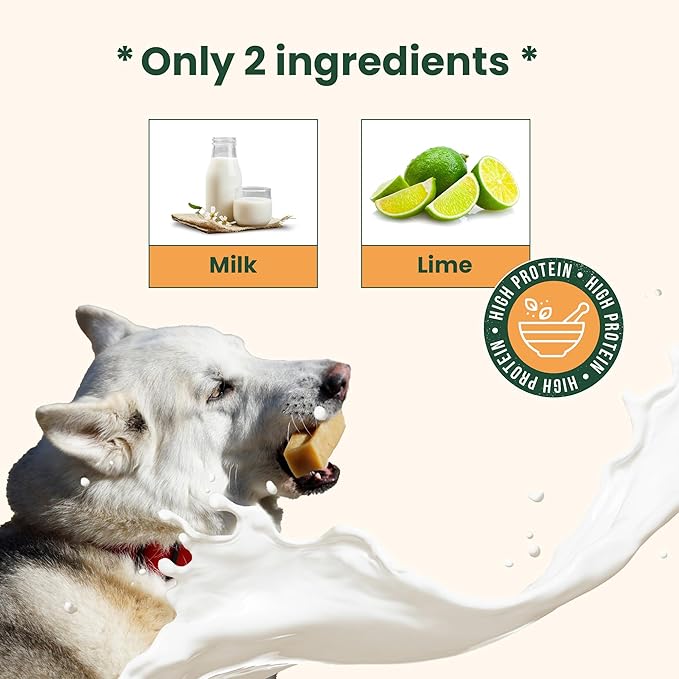KATHMANDU'S 100% Natural Himalayan Yak Cheese Chews - All Natural and Protein-Rich Nutrition Dog Treats, Long Lasting Chews for Aggressive Chewers, Odor Free Yak Chew | Large/X Large (Pack of 8)