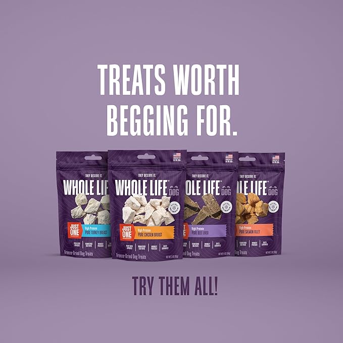 Whole Life Dog Just One Salmon Freeze Dried Dog Treats - Human Grade High Protein Food, Healthy Training Snacks, Freeze Dried Salmon Food Toppers, USA Made Natural Treats - 8 oz (Value Pack of 1)