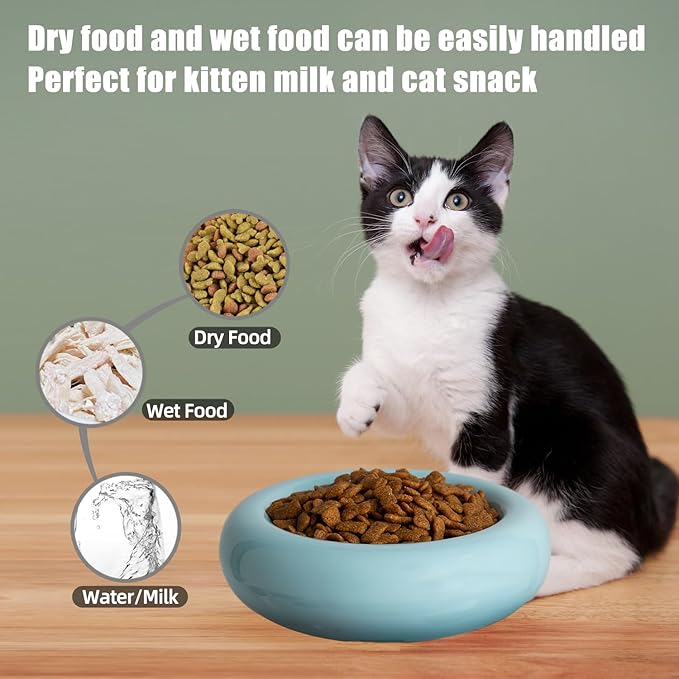 6.1 Inch Cat Bowls, 7 oz Ceramic Cat Food Bowl, Whisker Fatigue Relief Cat Bowl, Anti-Vomiting, Protect Spine, Perfect for Indoor Cats（Blue）