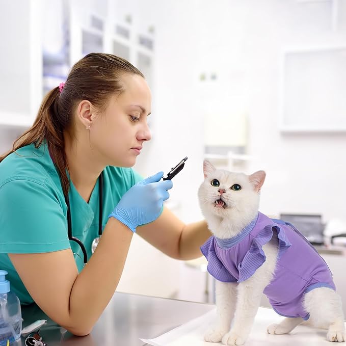 Avont Cat Recovery Suit - Post-Surgery Onesie for Cats, Alternative to Cone of Shame, Protective Spay Suit for Female Kitten, Ideal for Healing and Skin Conditions -Purple(M+)