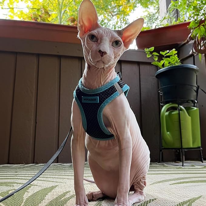 Best Pet Supplies - All Weather Mesh, Reflective, No Pull Harness for Small, Medium Dogs, Cats - Secure with Hook & Loop Fastener, Buckle, Double D-Rings - Blue Trim, XS