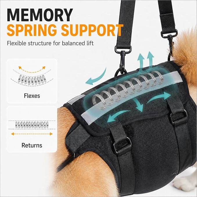 Dog Rear Leg Support Harness, Breathable Lift Assist for Large Dogs, Reflective Strips, Padded Handle for Stairs, Car Entry & Night Walks(XL)